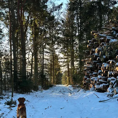 Charmerende Pa Landet Med Privat Skov Apartman *